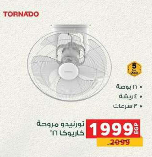 available at بنده in Egypt - القاهرة