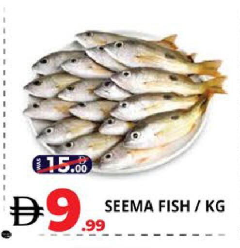 available at EXPRESS AL MADEENA HYPERMARKET LLC in UAE - Abu Dhabi