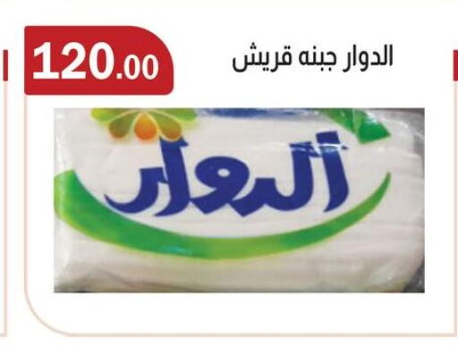 available at ABA market in Egypt - Cairo