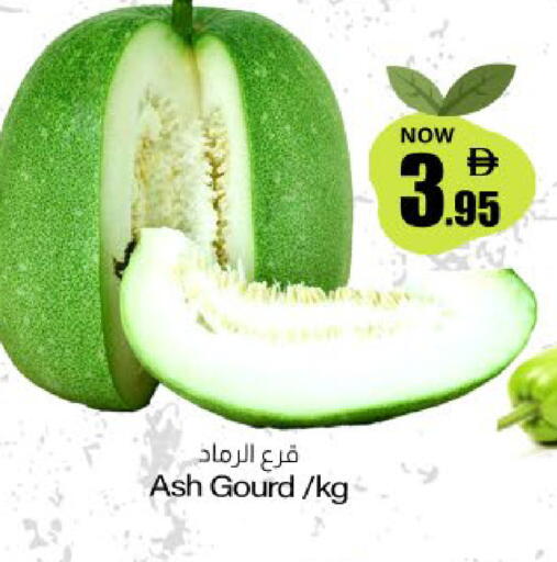 available at ميم ساجدة in الإمارات العربية المتحدة , الامارات - ٱلْفُجَيْرَة‎