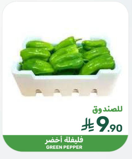 Pepper available at  مـزايــا in مملكة العربية السعودية, السعودية, سعودية - سيهات