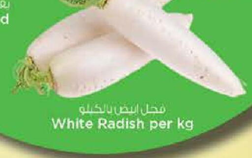 Radish available at Nesto Hypermarket in UAE - Sharjah / Ajman