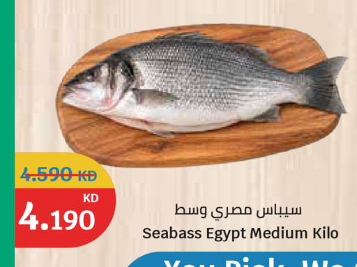 available at سيتي هايبرماركت in الكويت - مدينة الكويت