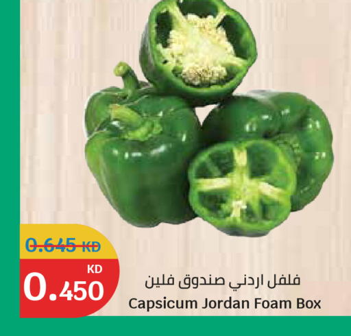 Capsicum from Jordan available at سيتي هايبرماركت in الكويت - مدينة الكويت