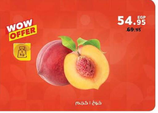 available at Panda  in Egypt - Cairo