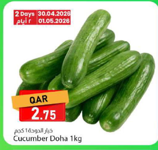 Cucumber from Qatar available at دانا ماركت in قطر - الدوحة