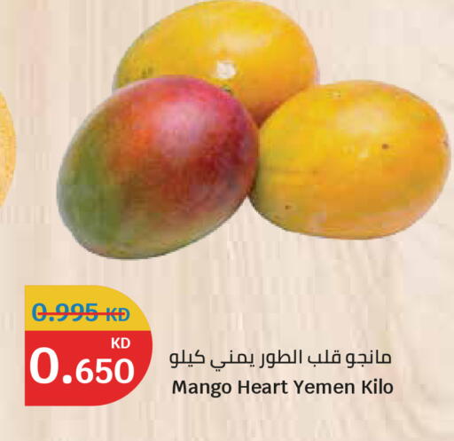Mango from Yemen available at سيتي هايبرماركت in الكويت - مدينة الكويت