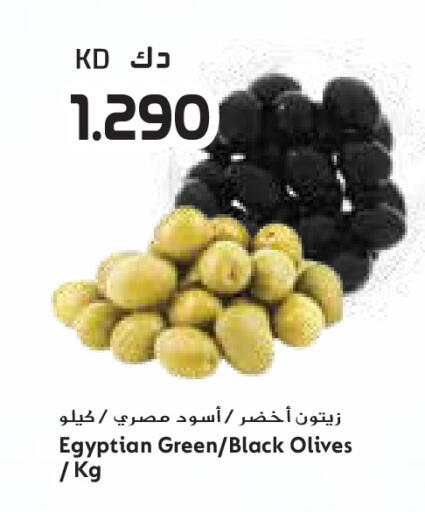 available at جراند كوستو in الكويت - مدينة الكويت