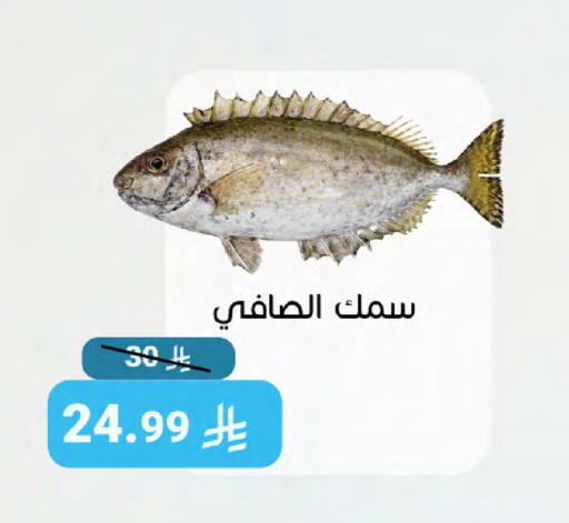 available at اسواق المنتزه in مملكة العربية السعودية, السعودية, سعودية - سيهات