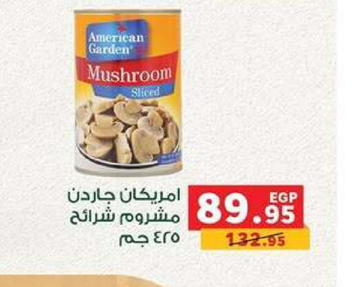 Mushroom available at بنده in Egypt - القاهرة
