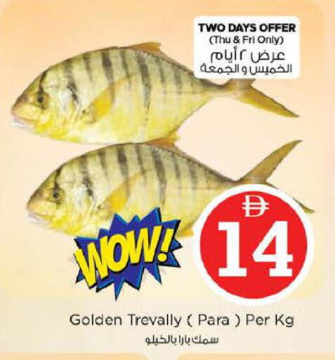 available at نستو هايبرماركت in الإمارات العربية المتحدة , الامارات - أبو ظبي