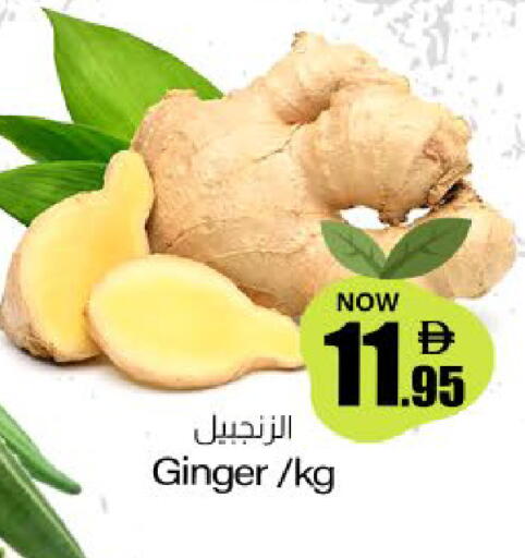 Ginger available at ميم ساجدة in الإمارات العربية المتحدة , الامارات - ٱلْفُجَيْرَة‎