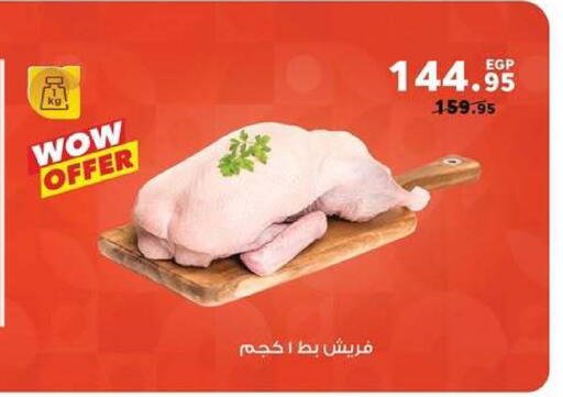 available at بنده in Egypt - القاهرة
