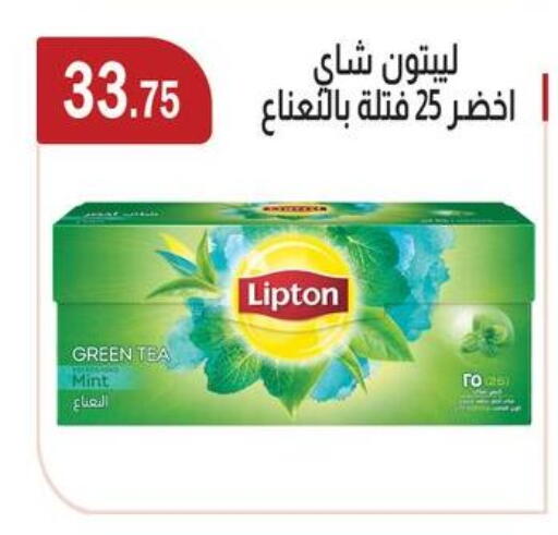 Mint available at ابا ماركت in Egypt - القاهرة