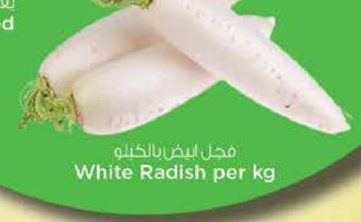 Radish available at نستو هايبرماركت in الإمارات العربية المتحدة , الامارات - دبي