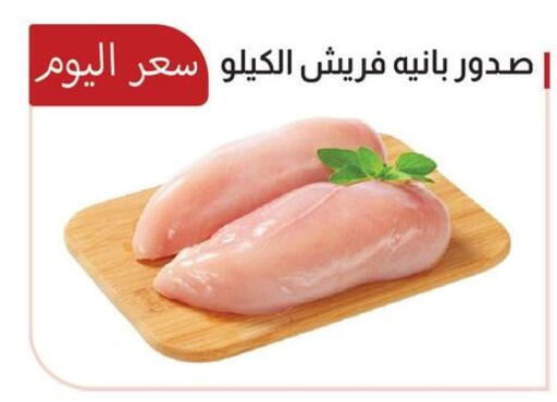 available at ABA market in Egypt - Cairo