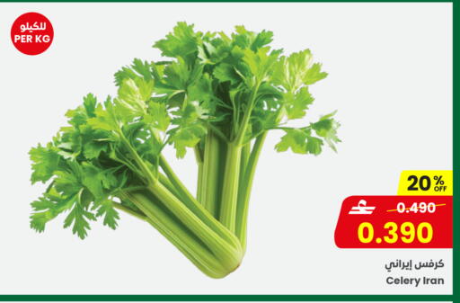 Celery from Iran available at مركز سلطان in عُمان - مسقط‎