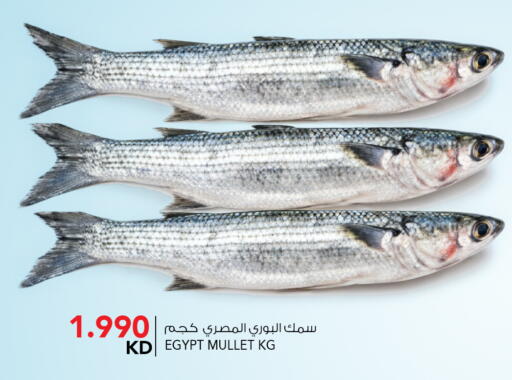 available at النصر هايبر ماركت in الكويت - مدينة الكويت