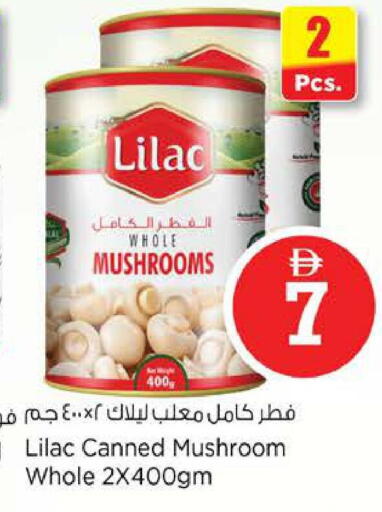 Mushroom available at نستو هايبرماركت in الإمارات العربية المتحدة , الامارات - دبي