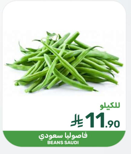 from Saudi Arabia available at  مـزايــا in مملكة العربية السعودية, السعودية, سعودية - سيهات