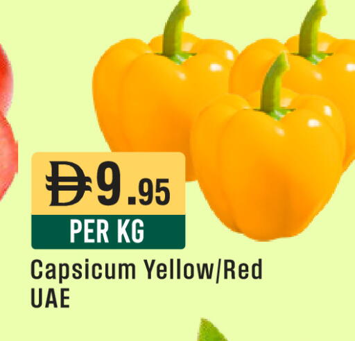 Capsicum available at ويست زون سوبرماركت in الإمارات العربية المتحدة , الامارات - أبو ظبي