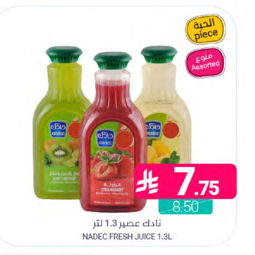 Strawberry available at Muntazah Markets in KSA, Saudi Arabia, Saudi - Saihat