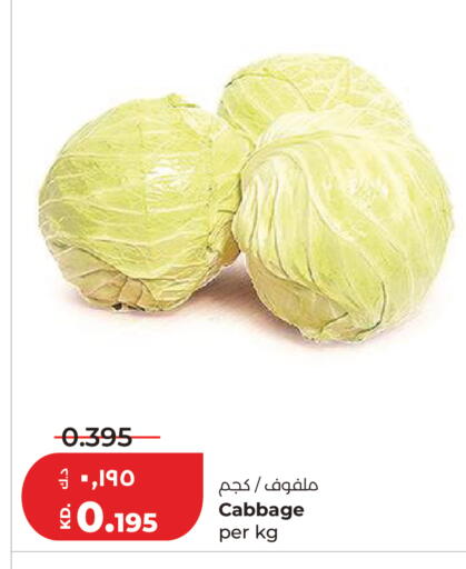 Cabbage available at لولو هايبر ماركت in الكويت - مدينة الكويت