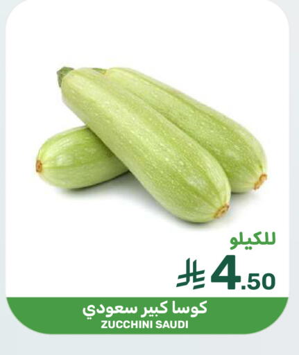 Zucchini from Saudi Arabia available at  مـزايــا in مملكة العربية السعودية, السعودية, سعودية - سيهات