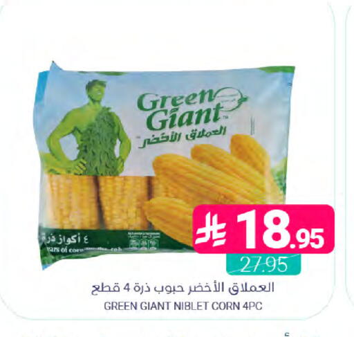 available at Muntazah Markets in KSA, Saudi Arabia, Saudi - Saihat