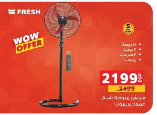 available at بنده in Egypt - القاهرة