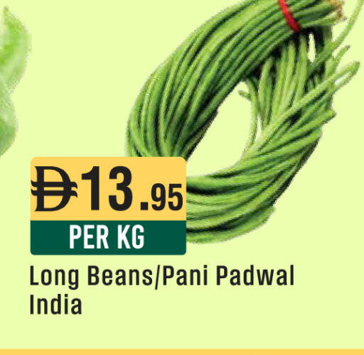 from India available at ويست زون سوبرماركت in الإمارات العربية المتحدة , الامارات - أبو ظبي