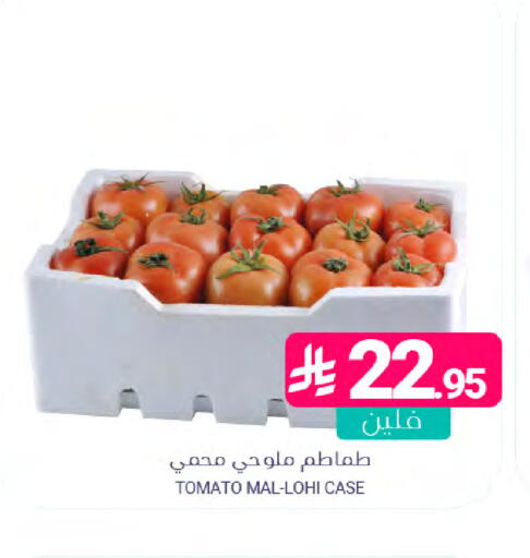 Tomato available at Muntazah Markets in KSA, Saudi Arabia, Saudi - Saihat
