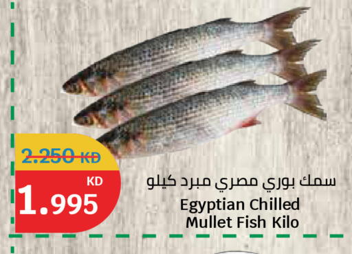 available at سيتي هايبرماركت in الكويت - مدينة الكويت