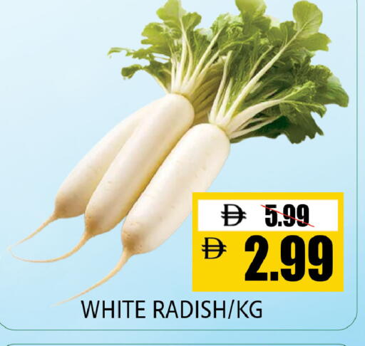 Radish available at Leptis Hypermarket  in UAE - Al Ain