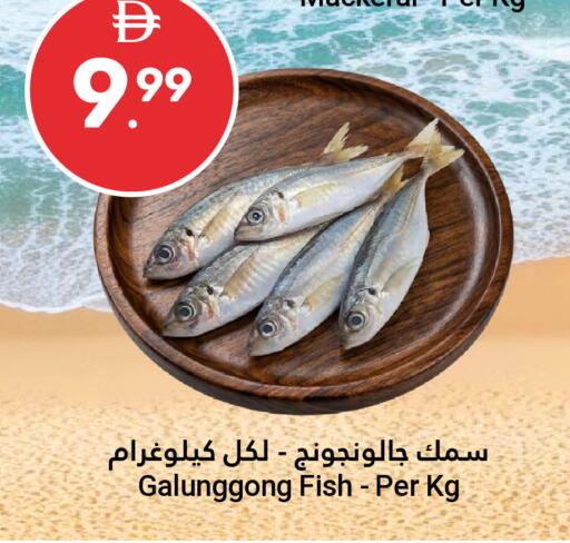 available at Grand Emirates Market in UAE - Abu Dhabi