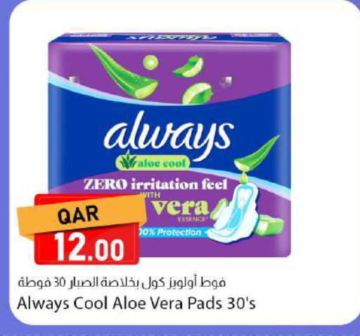 available at دانا ماركت in قطر - الدوحة