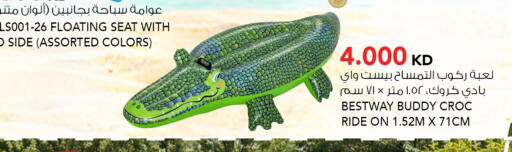 available at النصر هايبر ماركت in الكويت - مدينة الكويت