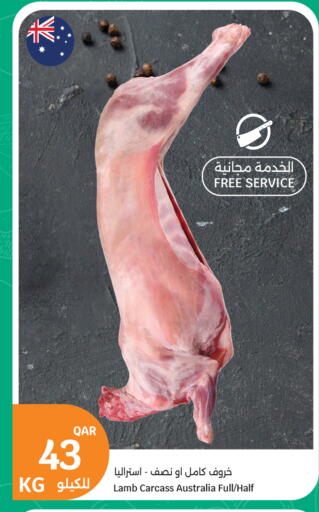 available at City Hypermarket in Qatar - Doha