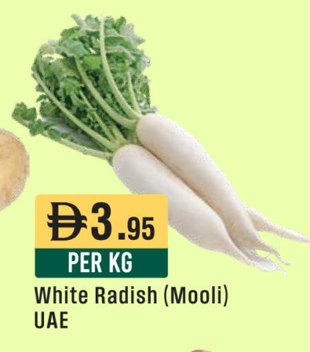 Radish available at ويست زون سوبرماركت in الإمارات العربية المتحدة , الامارات - أبو ظبي