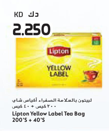 available at جراند كوستو in الكويت - مدينة الكويت