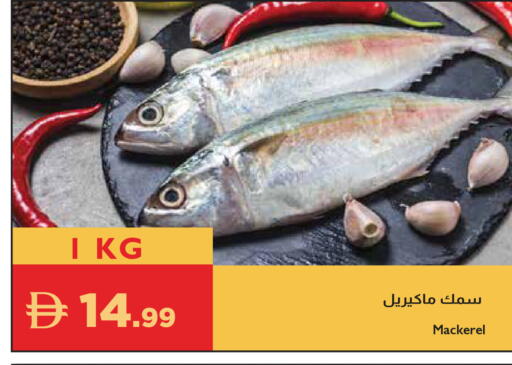 available at إسطنبول سوبرماركت in الإمارات العربية المتحدة , الامارات - رَأْس ٱلْخَيْمَة