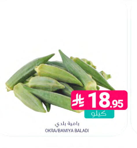 Okra available at Muntazah Markets in KSA, Saudi Arabia, Saudi - Saihat