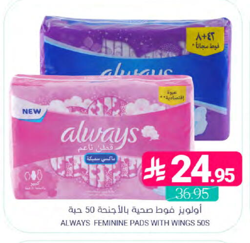 available at Muntazah Markets in KSA, Saudi Arabia, Saudi - Saihat