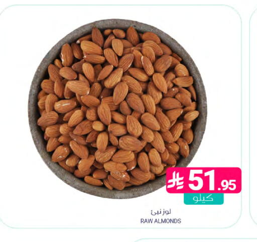 available at Muntazah Markets in KSA, Saudi Arabia, Saudi - Saihat