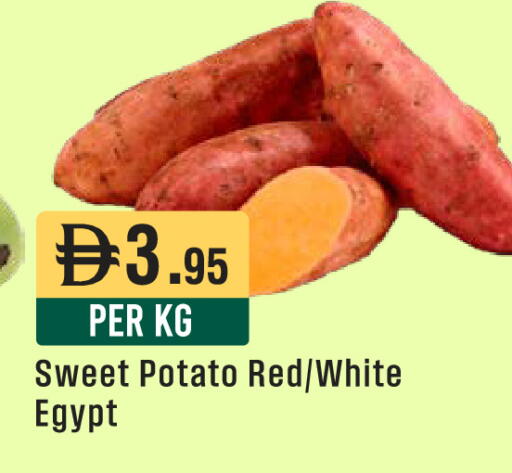 Sweet Potato from Egypt available at ويست زون سوبرماركت in الإمارات العربية المتحدة , الامارات - أبو ظبي