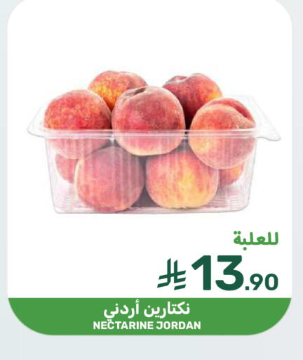 Nectarine from Jordan available at  مـزايــا in مملكة العربية السعودية, السعودية, سعودية - سيهات