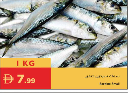 available at Istanbul Supermarket in UAE - Abu Dhabi