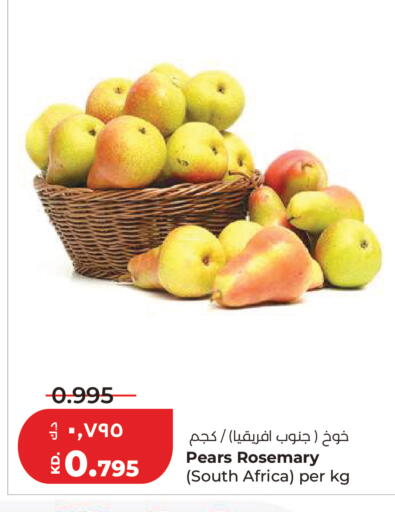 Rosemary from South Africa available at لولو هايبر ماركت in الكويت - مدينة الكويت