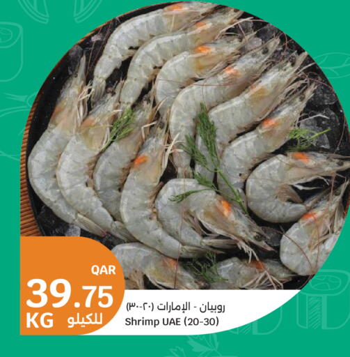 available at City Hypermarket in Qatar - Doha