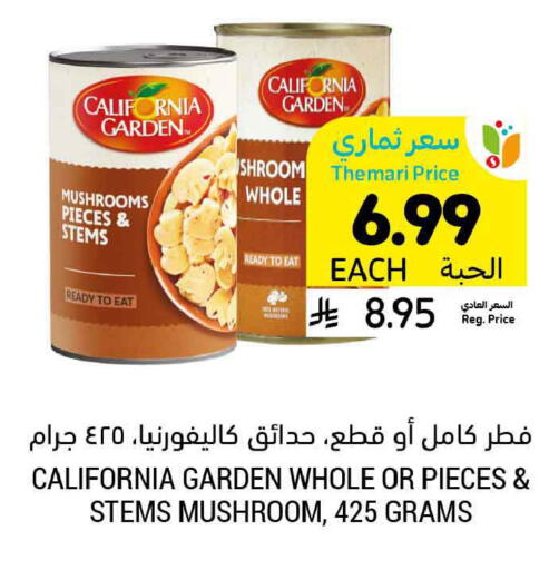 Mushroom available at Tamimi Market in KSA, Saudi Arabia, Saudi - Ar Rass